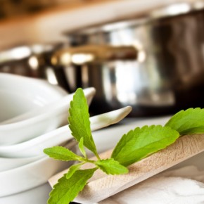 Stevia: Neue pflanzliche Süße - ganz ohne Kalorien